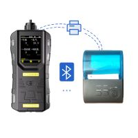 S316便攜式二氧化硫氣體檢測報警器